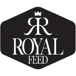royal feed